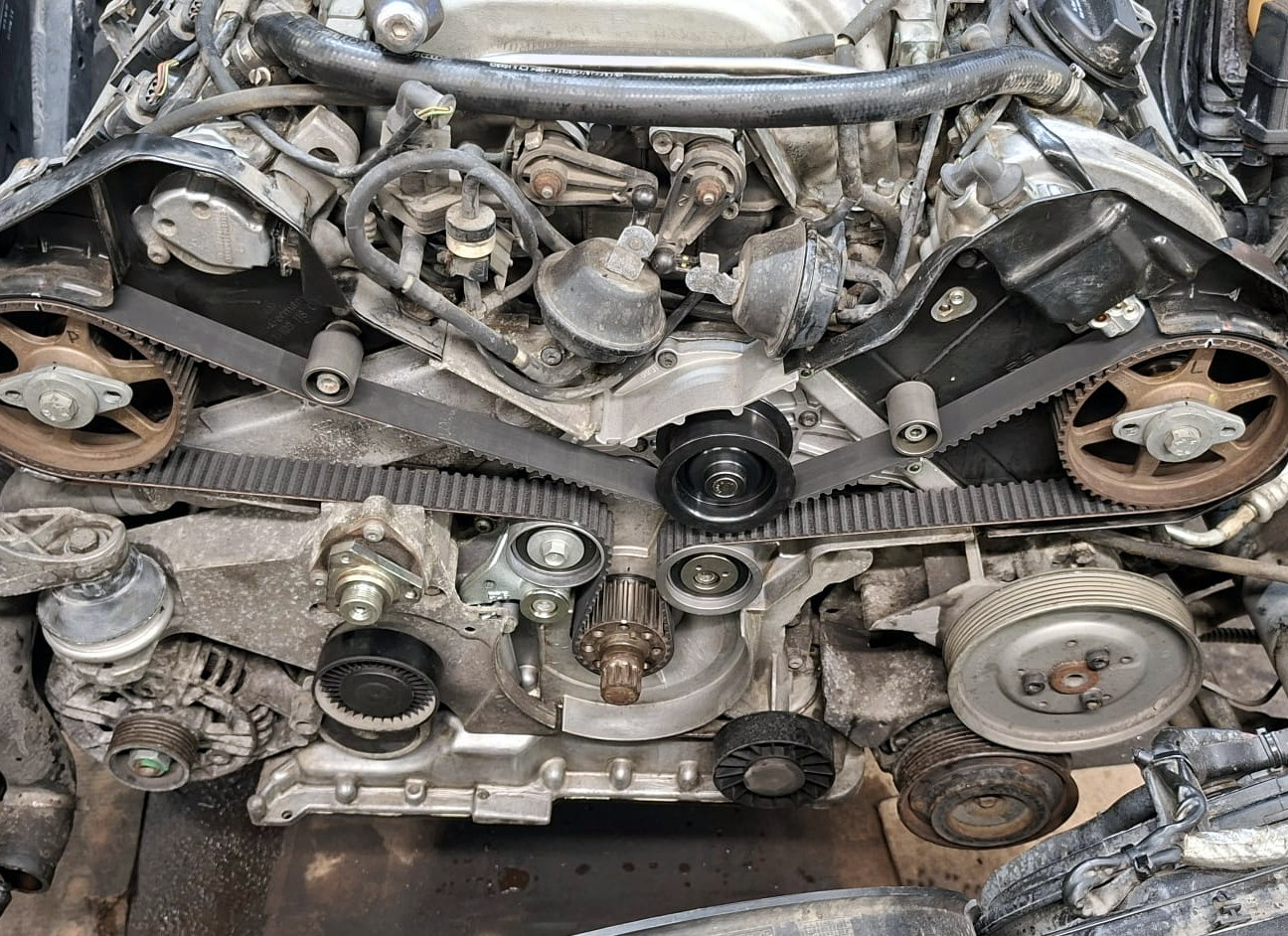 Новый ремень ГРМ, установленный на двигатель V8 в автосервисе Primpex